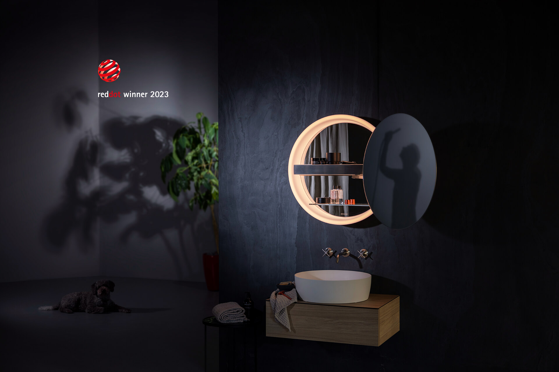 Armadio a specchio su parete in cemento con lavabo e pianta sullo sfondo.